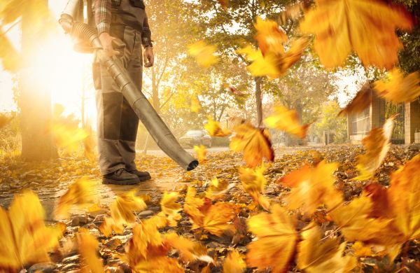 Cost of Leaf Blowing Service in Seminole