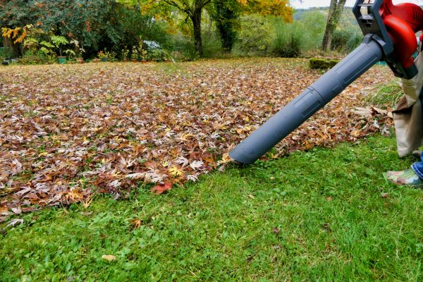 Cost of Leaf Vacuuming Service in Seminole