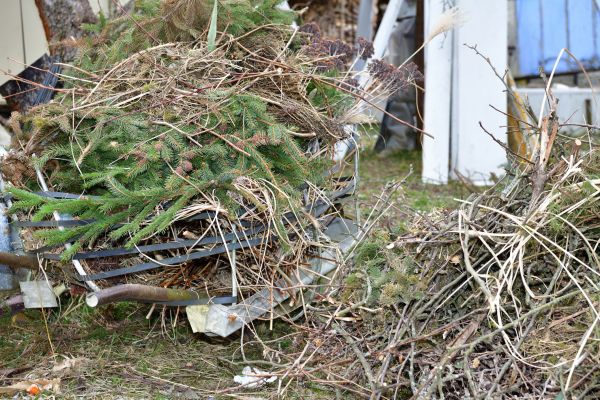Cost of Yard Debris Removal in Seminole