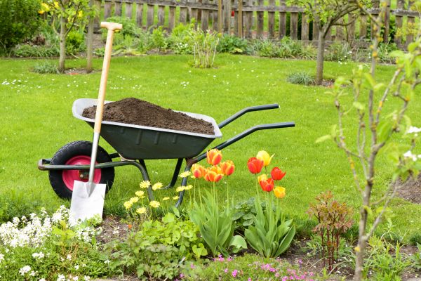 Cost of Spring Yard Cleanup in Seminole