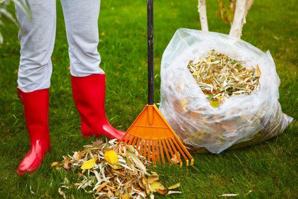 Cost of Leaf Disposal Service in Seminole