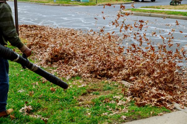 Cost of Garden Leaf Removal in Seminole