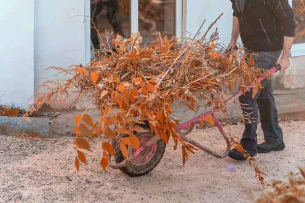 Cost of Lawn Debris Cleanup in Seminole