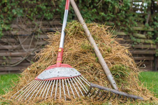 Cost of Pine Straw Clearing in Seminole