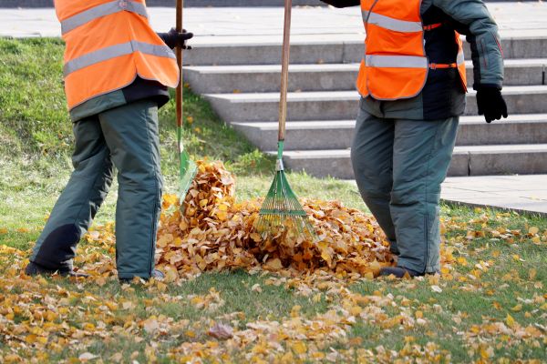 Cost of Leaf Hauling Service in Seminole