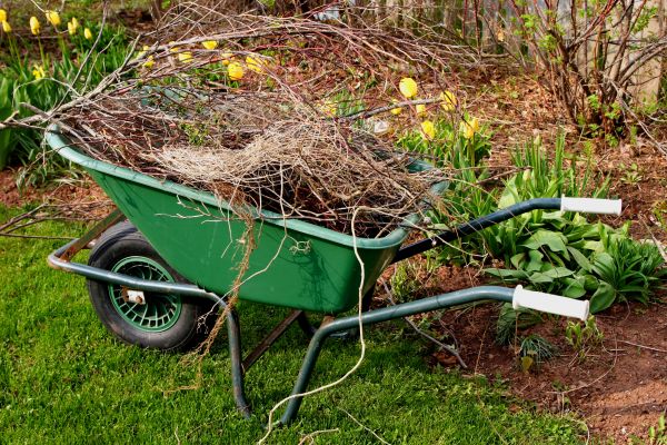 Cost of Lawn Waste Removal in Seminole
