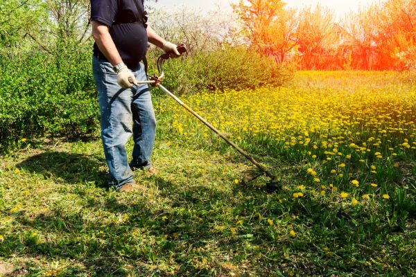 Cost of Yard Clearing Service in Seminole