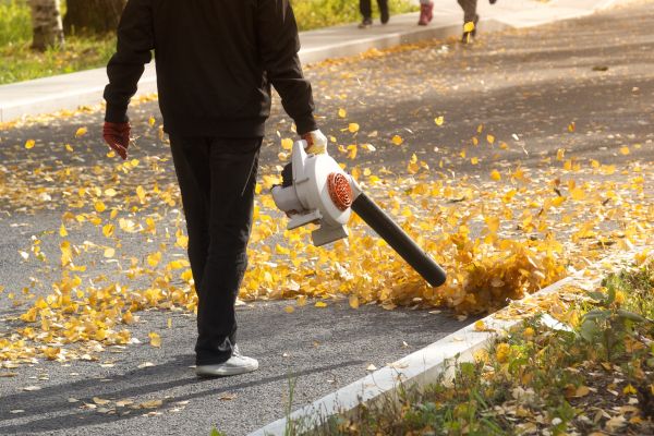 Cost of Commercial Leaf Removal in Seminole