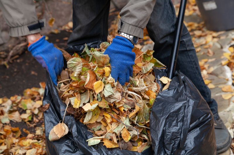 Leaf Blowing and Raking