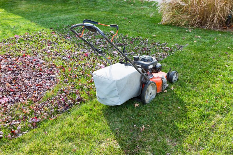 Fall Lawn Cleanup Equipment