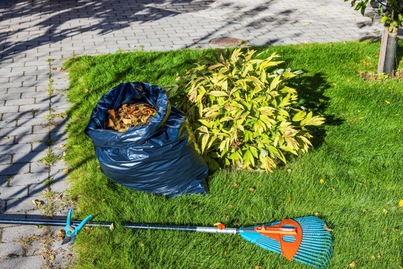 Post-Cleanup Lawn Care