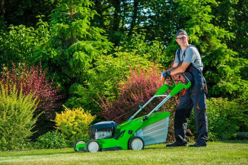 Lawn Care in Spring
